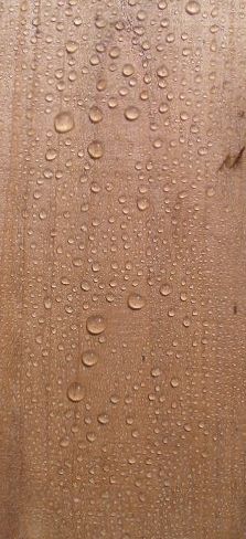 wood repel